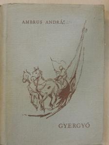 Ambrus András - Gyergyó [antikvár]
