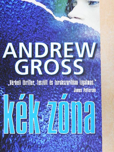Andrew Gross - Kék zóna [antikvár]