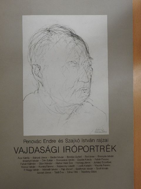 Penovác Endre - Vajdasági íróportrék [antikvár]