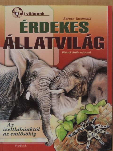 Boruzs János - Érdekes állatvilág [antikvár]