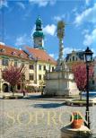 Duics Pál, Winkler Gábor - Sopron [antikvár]
