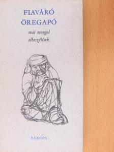 B. Rincsen - Fiaváró öregapó [antikvár]