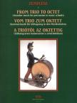 ZEMPLÉNI LÁSZLÓ - A TRIÓTÓL AZ OKTETTIG (ÜTŐHANGSZERES KAMARAZENE AZ ISKOLÁBAN)