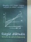 Berezvai Zombor - Közgáz diáktudós - Verseny és versenyképesség [antikvár]