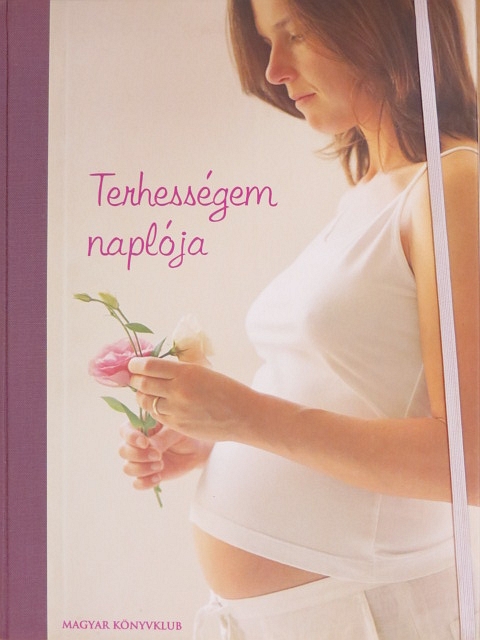 Charlotte King - Terhességem naplója [antikvár]