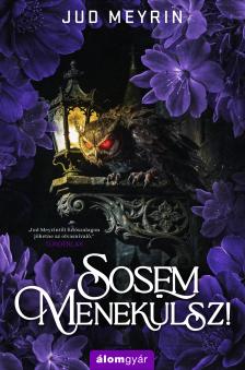 Jud Meyrin - Sosem menekülsz! [eKönyv: epub, mobi]