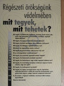 Paszternák István - Régészeti örökségünk védelmében mit tegyek, mit tehetek? [antikvár]