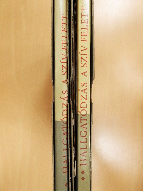 Dr. Kamarás János - Hallgatódzás a szív felett I-II. - 3 db hanglemezzel [antikvár]