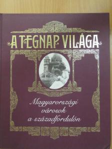 Jalsovszky Katalin - A tegnap világa [antikvár]