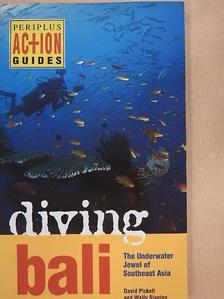 David Pickell - Diving Bali [antikvár]
