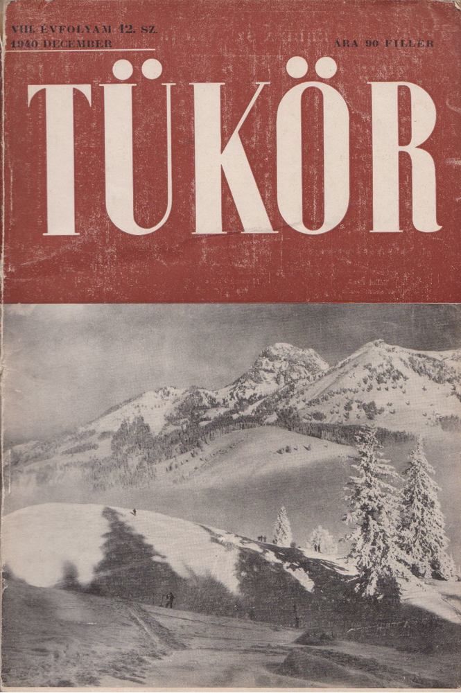 RÉVAY JÓZSEF - Tükör VIII. évfolyam 12. sz. [antikvár]