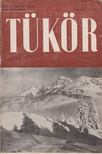 RÉVAY JÓZSEF - Tükör VIII. évfolyam 12. sz. [antikvár]