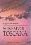 NAGY BANDÓ ANDRÁS - Sosemvolt Toscana [antikvár]