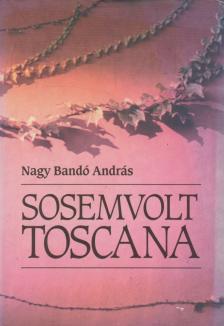 NAGY BANDÓ ANDRÁS - Sosemvolt Toscana [antikvár]