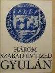 Bereczky Sándor - Három szabad évtized Gyulán [antikvár]