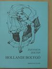 Zsávolya Zoltán - Hollandi bolygó [antikvár]