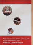Dornai Tibor - Balesetek a nevelési-oktatási intézményekben és a gyakorlati képzés során [antikvár]