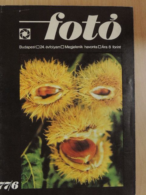 Ízes Mihály - Fotó 1977. június [antikvár]