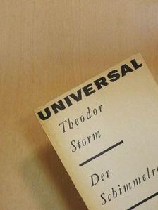 Theodor Storm - Der Schimmelreiter [antikvár]