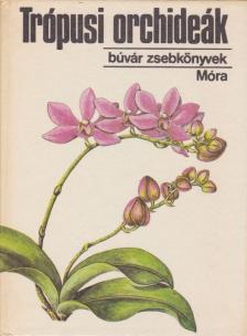 SULYOK MÁRIA - Trópusi orchideák [antikvár]
