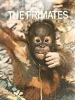 Irven DeVore - The Primates [antikvár]