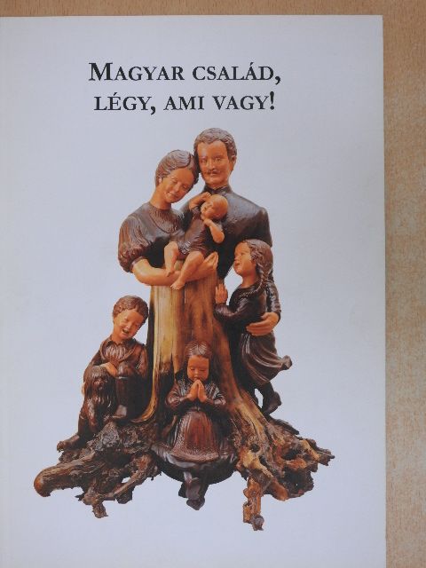 Dr. Erdő Péter - Magyar család, légy, ami vagy! [antikvár]