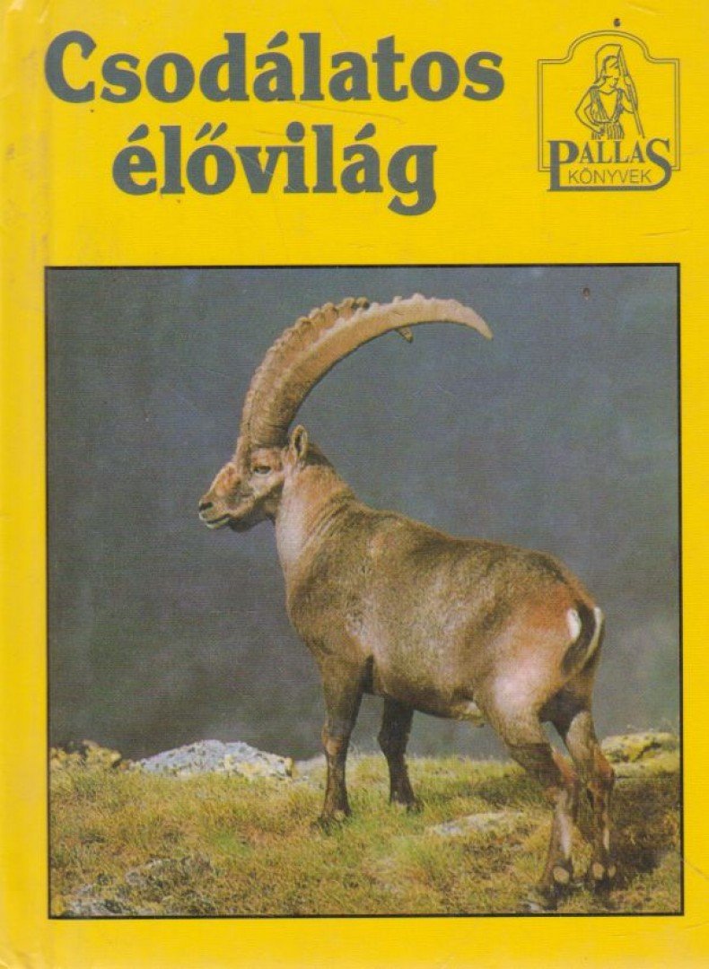 Lőrinczi Mariann - Csodálatos élővilág [antikvár]