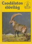 Lőrinczi Mariann - Csodálatos élővilág [antikvár]