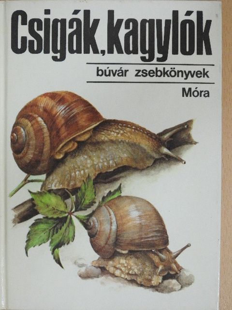 Dr. Krolopp Endre - Csigák, kagylók [antikvár]