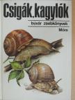 Dr. Krolopp Endre - Csigák, kagylók [antikvár]