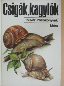 Dr. Krolopp Endre - Csigák, kagylók [antikvár]