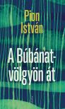 Pion István - A Búbánat-völgyön át [eKönyv: epub, mobi]