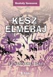 Vanessza Szakály - Kész Elmebaj - Ez nem lehet igaz [eKönyv: epub, mobi]