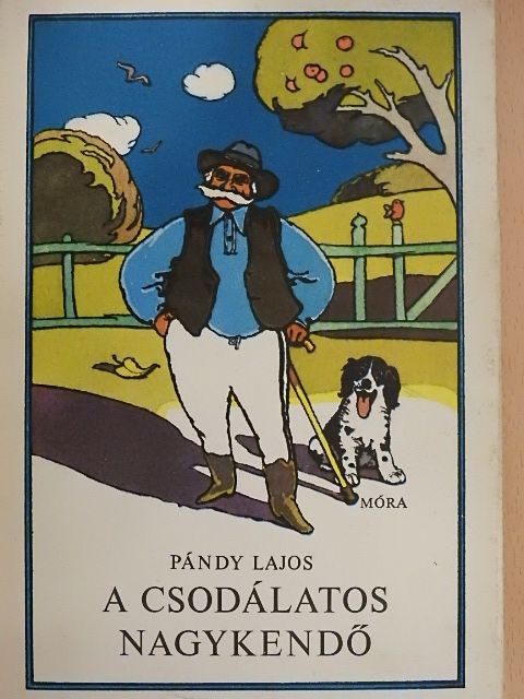 Pándy Lajos - A csodálatos nagykendő [antikvár]