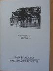 Baja és a Duna - Vallomások ecsettel [antikvár]