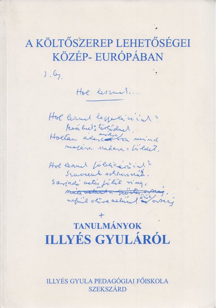 N. Horváth Béla - A költőszerep lehetőségei Közép-Európában [antikvár]