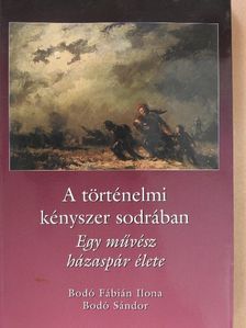 Bodó Fábián Ilona - A történelmi kényszer sodrában [antikvár]