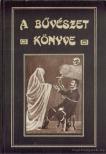 TOLNAI SIMON - A bűvészet könyve [antikvár]
