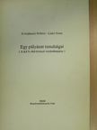 Kravjánszki Róbert - Egy pályázat tanulságai [antikvár]