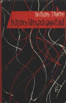 William STYRON - Házam lángra gyullad [antikvár]