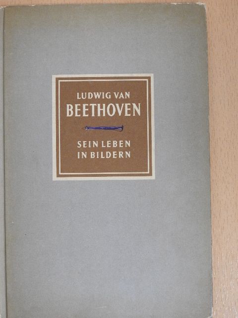 Richard Petzoldt - Ludwig van Beethoven [antikvár]