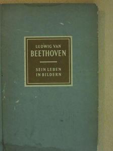 Richard Petzoldt - Ludwig van Beethoven [antikvár]