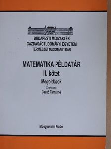 Matematika példatár II. [antikvár]