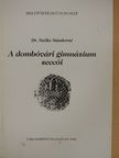 Dr. Szőke Sándorné - A dombóvári gimnázium seccói [antikvár]