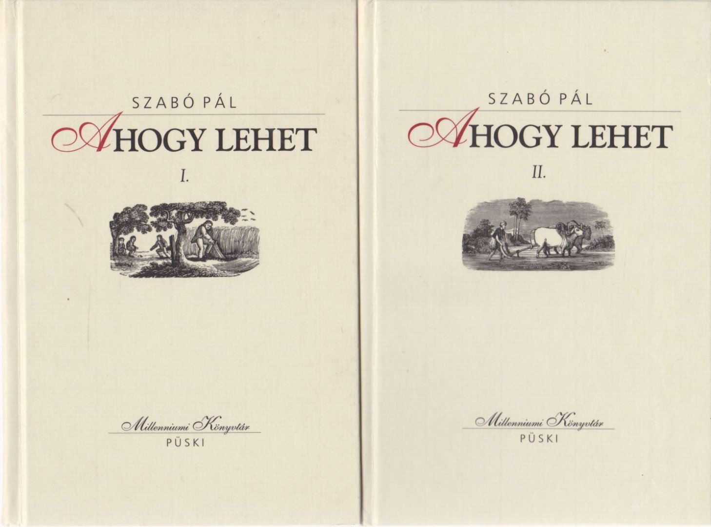 Szabó Pál - Ahogy lehet I-II. [antikvár]