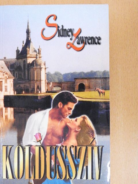 Sidney Lawrence - Koldusszív [antikvár]