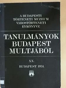 Dányi Dezső - Tanulmányok Budapest múltjából XX. [antikvár]
