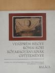 K. Palágyi Sylvia - Veszprém megye római kori kőfaragványainak gyűjteménye [antikvár]