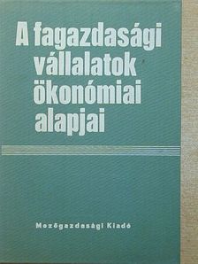 Abonyi István - A fagazdasági vállalatok ökonómiai alapjai [antikvár]