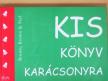 H. Jackson Brown - Kis könyv karácsonyra [antikvár]